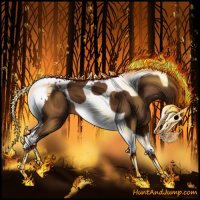 Horse Color:Gray Chestnut Splash Tobiano