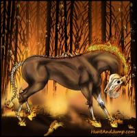 Horse Color:Gray Chestnut 