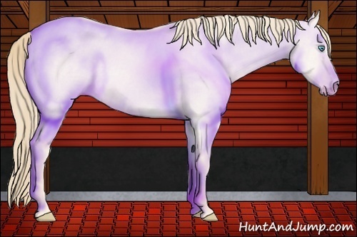 Horse Color:Perlino Dun 