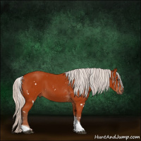 Horse Color:White Spotted Silver Brown Tobiano