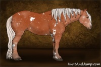 Horse Color:White Spotted Silver Brown 