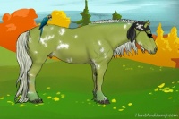 Horse Color:Watercolor White Spotted Silver Brown 