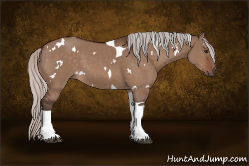 Horse Color:White Spotted Silver Brown Dun Tobiano 