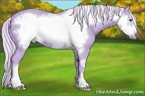Horse Color:Watercolor Palomino Frame