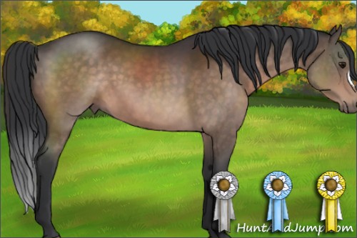 Horse Color:Brown 