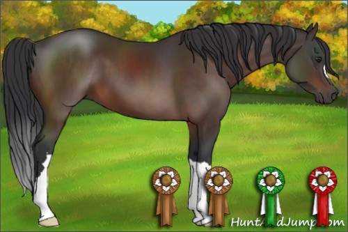 Horse Color:Brown 
