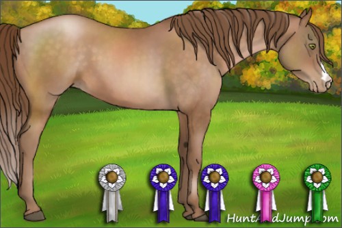 Horse Color:Brown Pearl