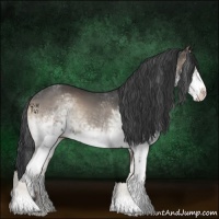 Horse Color:White Spotted Blue Onyx Rabicano 