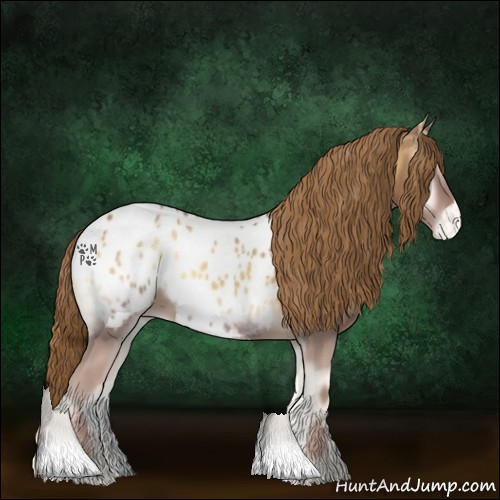 Horse Color:Red Onyx Appaloosa 