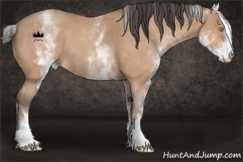 Horse Color:White Spotted Amber Champagne 