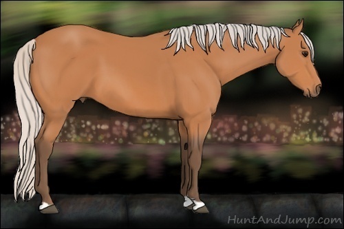 Horse Color:Silver Bay 