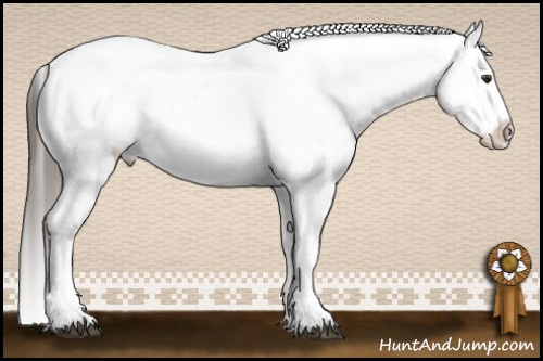 Horse Color:Liver Chestnut Sabino Splash Near Leopard  and Liver Chestnut Sabino Splash Near Leopard 