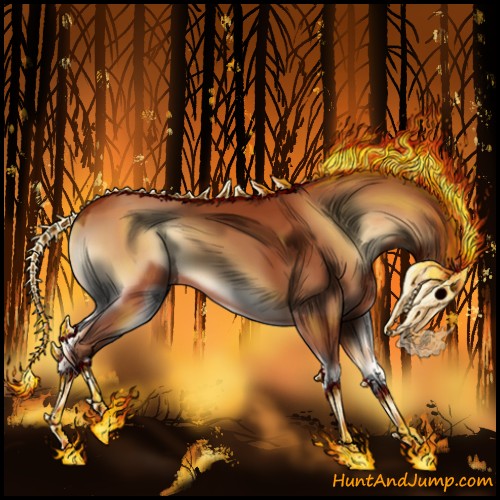 Horse Color:Bay Onyx 