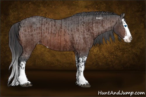 Horse Color:Bay Sabino Splash Varnish and Brown Sabino Splash Varnish