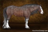 Horse Color:Bay Sabino Splash Varnish  and Brown Sabino Splash Varnish 