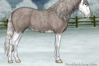 Horse Color:Silver Blue Roan Splash 