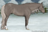 Horse Color:Silver Blue Roan 