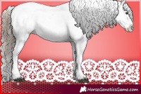 Horse Color:Liver Chestnut Sabino Splash Appaloosa and Liver Chestnut Sabino Splash Appaloosa