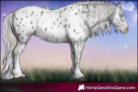 Horse Color:Platinum Liver Chestnut Sabino Splash Near Leopard  and Platinum Liver Chestnut Sabino Splash Frame Near Leopard 