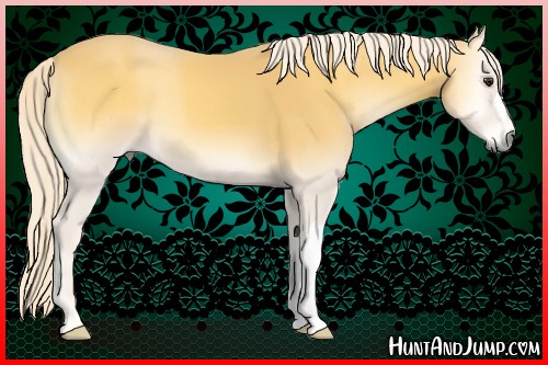 Horse Color:Palomino Onyx