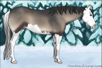Horse Color:Blue Onyx Splash 