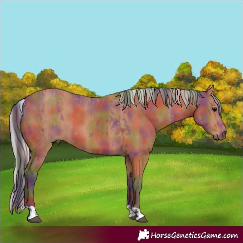 Horse Color:Nacre Bay  and Nacre Silver Bay 