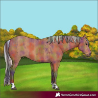 Horse Color:Nacre Bay and Nacre Silver Bay