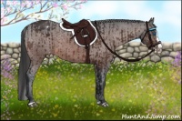 Horse Color:Brown Sabino Splash Appaloosa  and Brown Sabino Splash Appaloosa 