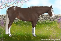 Horse Color:Liver Chestnut Sabino Splash Appaloosa 