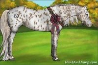 Horse Color:Chocolate Palomino Sabino Splash Appaloosa  and Chocolate Palomino Sabino Splash Appaloosa 