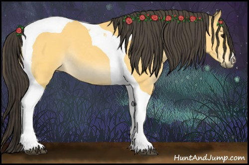 Horse Color:Buckskin Tobiano
