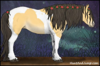 Horse Color:Buckskin Tobiano