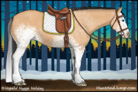 Horse Color:White Spotted Bay Dun Splash 