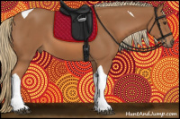Horse Color:Chestnut Tobiano