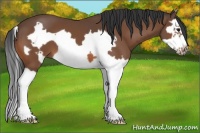 Horse Color:Bay Splash Frame