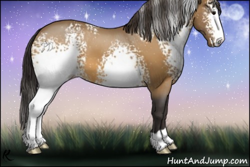 Horse Color:White Spotted Buckskin