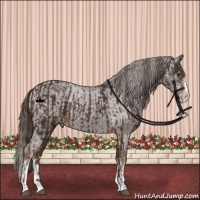 Horse Color:Liver Chestnut Sabino Splash Varnish  and Liver Chestnut Sabino Splash Varnish 