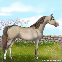 Horse Color:Liver Red Dun Sabino Rabicano