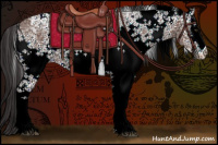 Horse Color:White Spotted Bay Ice