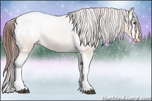 Horse Color:Bay Dun Tobiano Appaloosa 