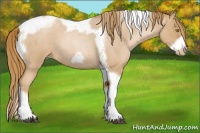 Horse Color:Red Roan Pearl Tobiano Frame 