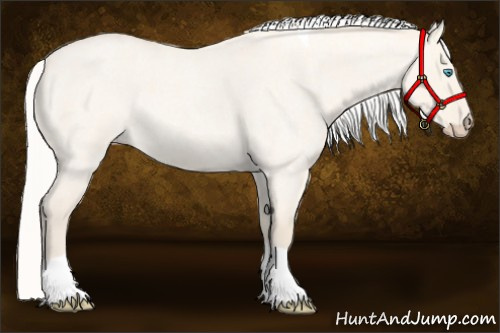 Horse Color:Silver Perlino Roan Dun Tobiano 