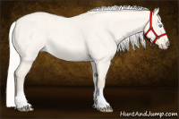 Horse Color:Silver Perlino Roan Dun Tobiano 