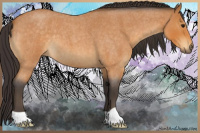 Horse Color:Buckskin Roan 
