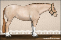 Horse Color:Red Roan Pearl Tobiano Frame 