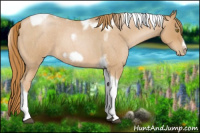 Horse Color:Red Roan Pearl Tobiano Frame