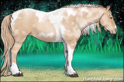 Horse Color:Red Roan Pearl Tobiano Frame 