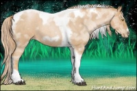 Horse Color:Red Roan Pearl Tobiano Frame 