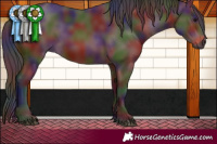 Horse Color:Gray Nacre Bay 