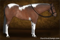 Horse Color:Brown Tobiano Rabicano